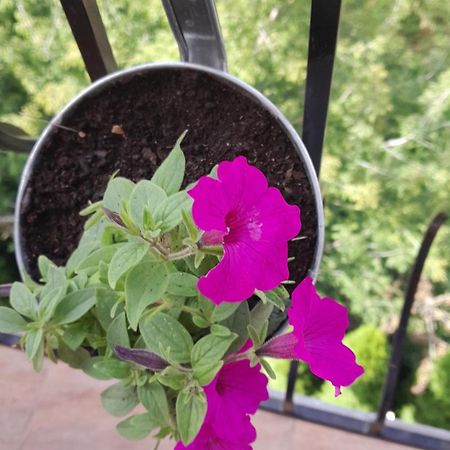 Apartamenty Puk Puk ムロンゴヴォ エクステリア 写真